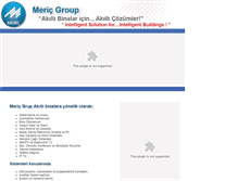 Tablet Screenshot of mericgroup.com.tr